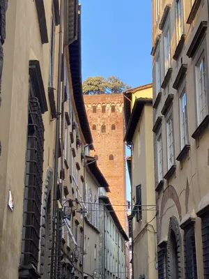 10 Reasons You Should Definitely Visit Lucca, Italy