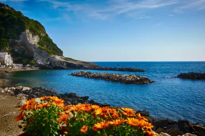 Форио, остров Искья, Неапольский залив, Италия Стоковое Изображение -  изображение насчитывающей сосенка, цветасто: 159517685