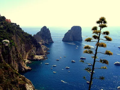 Купить фотообои Остров Капри, Италия (#7684) | заказать в каталоге интернет  магазина с ценой и фото