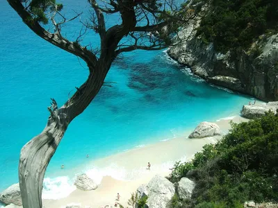 Красивый итальянский остров сардиния в средиземном море. | Премиум Фото