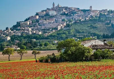 Explore like a local - Things to do in Perugia, Italy - Hostelworld