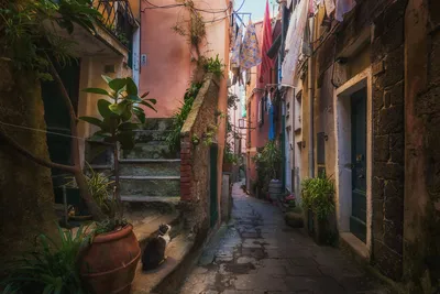 Вид на узкой улочки старого города уютный с красочными домами в Вероне  Италии во время солнечного дня Стоковое Фото - изображение насчитывающей  европа, деревенский: 170278958