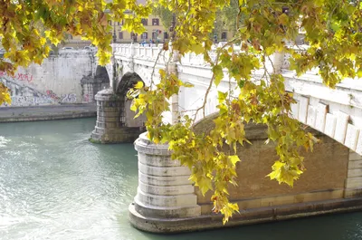 Отдых в Италии осенью — сентябрь, октябрь и ноябрь. Погода, климат