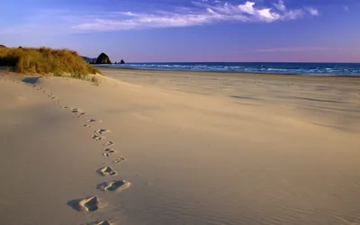 Юрмала. Что нужно знать об отдыхе в Юрмале 2024, Латвия. Пляжи,  развлечения, достопримечательности