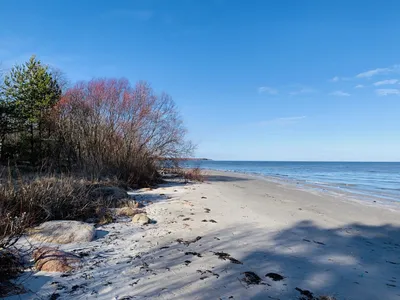 File:Юрмала (Латвия) Пляж в Дзинтари (осенее море) - panoramio.jpg -  Wikimedia Commons