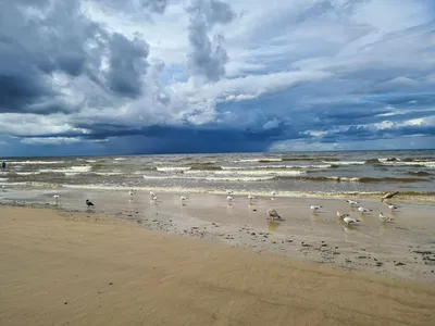 Jurmala Realty SIA - #instagood #море #зима #пляж #sea #jurmala  #jurmala2021#латвия #beach #balticsea #юрмала #природа #nature #latvija  #travel #солнце #sun #отдых #sky #балтийскоеморе #небо #beautiful  #jurmalabeach #sea #jurmalarealty | Facebook