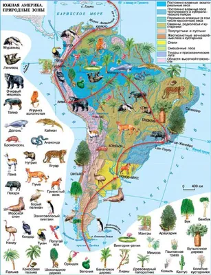 Географическое положение Южной Америки