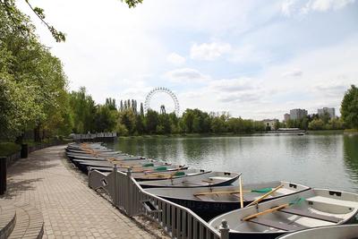 Измайловский парк, парк культуры и отдыха, Московский просп., 2, Москва —  Яндекс Карты