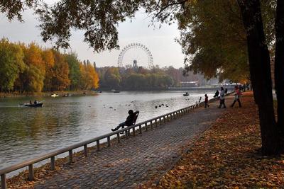 Лучшие парки Москвы💥: список красивых, интересных парков для прогулок и  отдыха с детьми — Tripster.ru