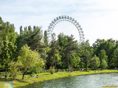 Измайловский парк в Москве: На карте, Описание, Фото, Видео, Instagram |  Pin-Place.com