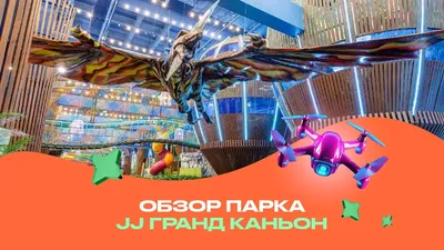 Joki Joya, парк развлечений на проспекте Энгельса в Санкт-Петербурге:  отзывы, фото, цены, телефон и адрес - Zoon.ru