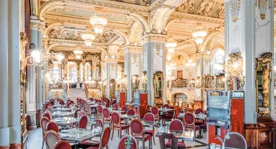 New York Café Budapest: The World's Most Beautiful? | The Common Wanderer