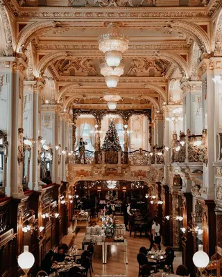 New York Cafe | Budapest