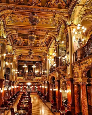 Budapest: Cafe Wandering Literature and History Tour | GetYourGuide