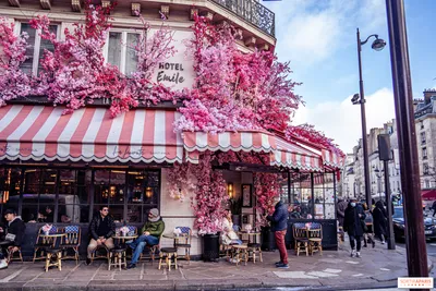 Париж: конец цветочным кафе не за горами? Мэрия хочет регулировать эти  украшения - Sortiraparis.com