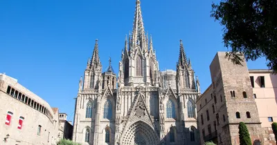 Кафедральный собор (Барселона): фото и отзывы — НГС.ТУРИЗМ