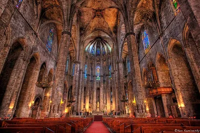 Кафедральный собор Барселоны - Собор Святого Креста и Святой Евлалии.  Бесценные исторические реликвии, лифт на крышу и белоснежные гуси. | Я тут  была | Дзен