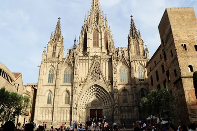 Барселона: что посмотреть. Готический квартал. Кафедральный собор Святого  Креста и Святой Евлалии | Калейдоскоп путешествий | Дзен