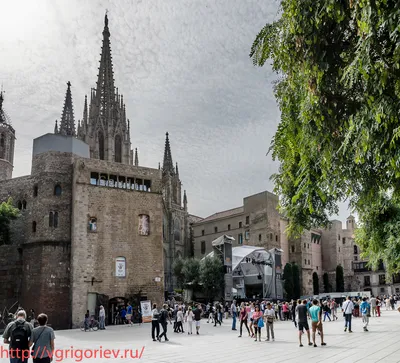 Кафедральный собор | ¡Привет, Барселона!