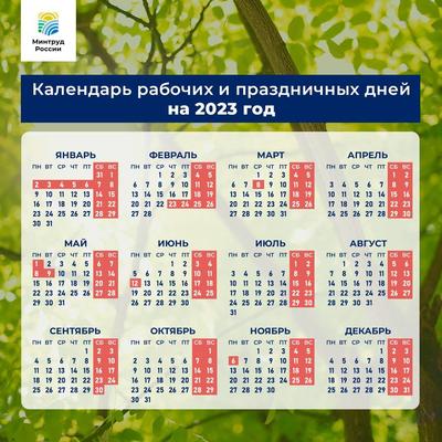 Настольный календарь Союз федераций футбола Сибирь Красноярск 2023