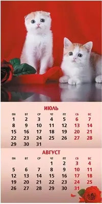 Календарь квартальный трехблочный год Новосибирск. Длина календаря в  развёрнутом виде -68 см, ширина - 29,5 см. - купить с доставкой по выгодным  ценам в интернет-магазине OZON (492245692)