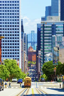Сан-Франциско с высоты: жемчужина солнечной Калифорнии | STENA.ee