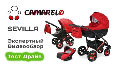 Детская коляска Camarelo Sevilla 3 в 1 WXSE-01 св.серый