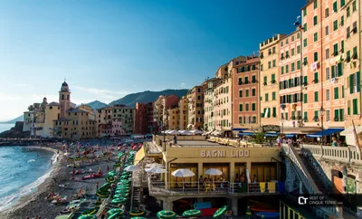 Camogli Лигурия Италия — стоковые фотографии и другие картинки Камольи -  Камольи, Лигурия, Пляж - iStock