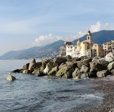 Красивые места мира: Италия 🇮🇹, Камольи (Camogli) | Удивительный мир |  Дзен