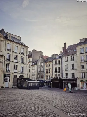 Отдых во Франции, город Канны — Тижневик «ЕХО»
