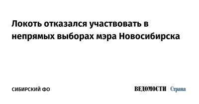 Ради пиара многие пойдут» – эксперты объяснили, что на выборы мэра  Новосибирска может заявиться любой человек