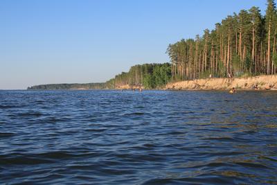 Караканский бор Новосибирск фото фотографии