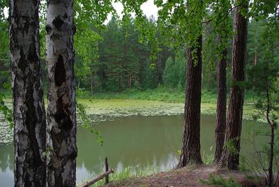 База отдыха с родниковым озером и дайвинг-центром выставлена на продажу в  Новосибирской области