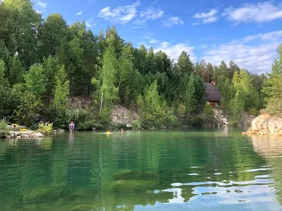 Караканский бор Новосибирск (76 фото) »