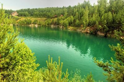 Тайны Караканского бора – отдых на Обском море в сосновом лесу