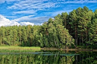 Экскурсии по Сибири - Жемчужина Караканского бора