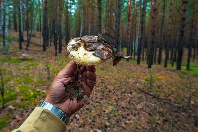 Топ семь мест Новосибирска, которые должен посетить каждый