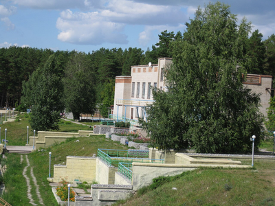 В природном парке «Караканский бор» под Новосибирском вспыхнул пожар | АиФ  Новосибирск | Дзен