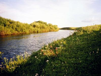 Река Карасук (58 фото) - 58 фото