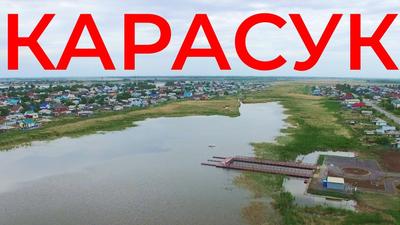Под Новосибирском 206 миллионов потратят на расчистку русла реки Карасук |  Новости – Gorsite.ru