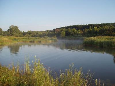 В Новосибирской области решили исправить русло реки Карасук - ЧС-ИНФО