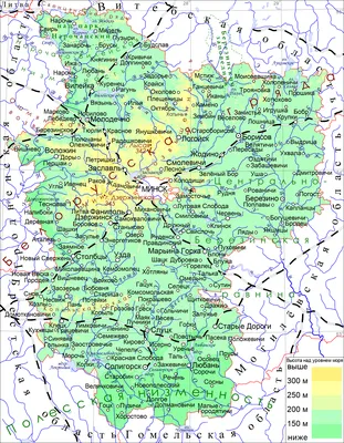 Карты Минска | Подробная карта города Минск с улицами и домами | Схема -  Карта метро Минска | Белоруссия