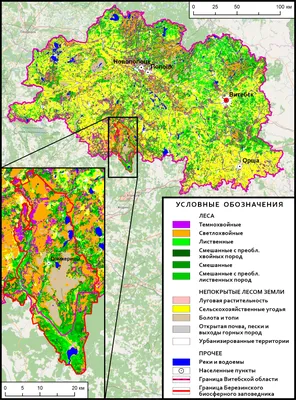 Карта распространения коронавирусной инфекции в Витебской области |  Народные новости Витебска