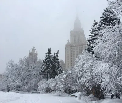 Где погулять и что посмотреть в Москве зимой: топ-4 лучших маршрута