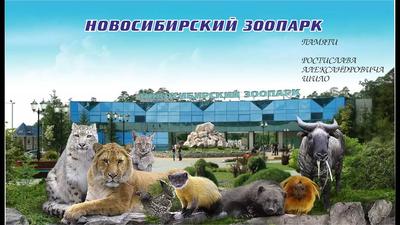 Новосибирский зоопарк рассказал о сложностях создания комплекса «Африка» —  РБК
