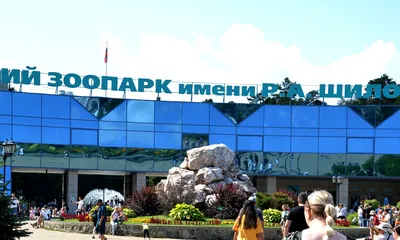 Новосибирский зоопарк | Гостиница \"Н\" Новосибирск