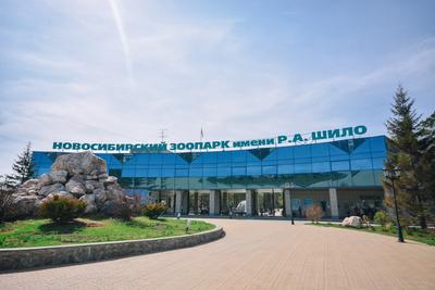 Вольеры с обитателями Новосибирского зоопарка внесли на карты 2ГИС