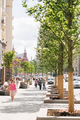 Красивые улицы Москвы #москва #улмца #теплыетона #фото #весна | Культурное  путешествие, Туристические направления, Красивые места