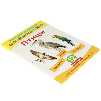Обучающие карточки «Английский для малышей» (Росмэн, 21641ros) купить в  магазине детских игрушек Toy Way