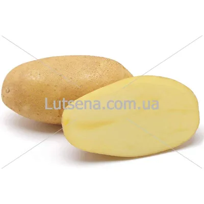 Семенной картофель Гранада, Германия, 1я репродукция (ID#1117587739), цена:  27.01 ₴, купить на Prom.ua